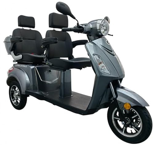 Vita Care 2000 Li Elektromobil 3-rädriges 2-Personen Seniorenmobil mit 1000 W Motor, Herausnehmbarem -Akku bis 90 km Rückwärtsgang & Topcase (Light grey, Akku- 60V/20Ah= bis zu 60 km Reichweite)