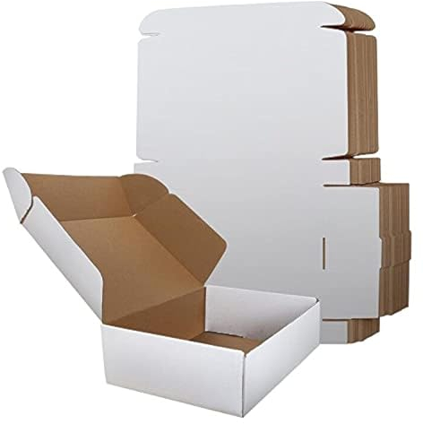 RLAVBL 20 Pack 305x229x77 mm (12x9x3 in) Shipping Boxes Small White Corrugated Cardboard Box for Packing Mailing