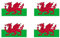 Set of 4 Welsh Flag Temporary Tattoo Waterproof Lasts 1 week Wales dragon Flag rugby