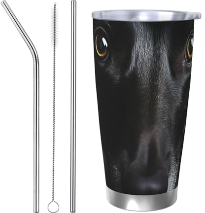 Dog in Quilt Print Tumbler with Lid and Straw Insulated Tumbler 20 Oz Stainless Steel Coffee Mug Vacuum Car Cup for Women Girls Gifts