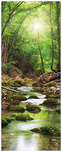 Wallario Glasbild Fluss im Wald - 50 x 125 cm Wandbilder Glas in Premium-Qualität: Brillante Farben, freischwebende Optik