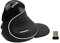 DeLUX Souris Ergonomique Verticale sans Fil - Aide à réduire Le Stress répétitif M618-PLUS-GX-SS-FIL Noir