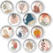 12 Stück Kühlschrank Magnete Kristallglas Kühlschrankmagnete Magnete Kinder Kühlschrankmagnete Dekorative zum Kühlschrank für Whiteboards Kühlschränke Fotos (Runde/30 mm)-Böhmen