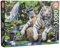 Educa - Genuine Puzzles. Tigri Bianche del Bengala. Puzzle per Adulti. 1000 pezzi. Misura: 68 x 48 cm. Include la colla del fix puzzle. Da 14 anni (14808)