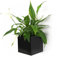 Sgaravatti KalaMitica Cube, Pot Magnétique, Ø 9 cm, Noir