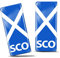 2 x 3D Gel Silicone Scotland Badge Car Number Plate Self-adhesive Stickers Scottish Flag UK Decals QS 11