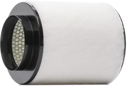 RIDEX 8A1700 Luftfilter mit Vorfilter Kompatibel mit AUDI A8 4H2, 4H8, 4HC, 4HL