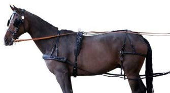 PFIFF Einspännergeschirr ´Standard´, schwarz Cob