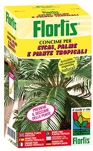 CONCIME GRANULARE CYCAS PALME E PIANTE TROPICALI GR 1000 FLORTIS