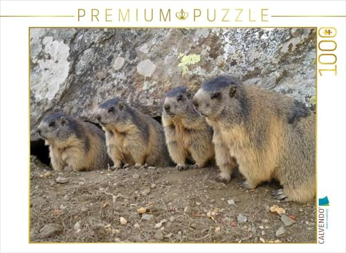 CALVENDO Puzzle Verspielte Murmeltiere - unterwegs in SAAS Fee/Schweiz | 1000 Teile Lege-Größe 64 x 48 cm Foto-Puzzle für glückliche Stunden