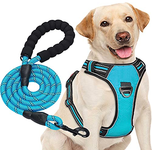 haapaw No Pull Dog Harness Adjustable Reflective Oxford Easy Control Medium Large Dog Harness with a Free Heavy Duty Dog Lead