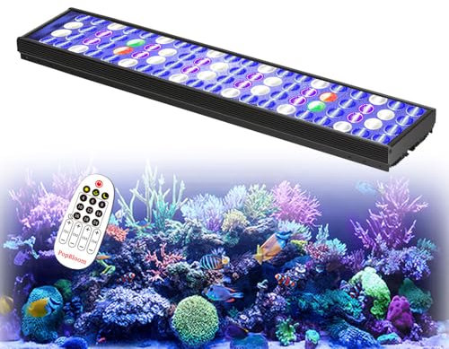 PopBloom Meerwasser LED 55W, mit Aufhängeset, Salzwasser LED Beleuchtung für Reef Coral Fish Wasserpflanzen Salzwasser Aquarium (für 50-70cm)