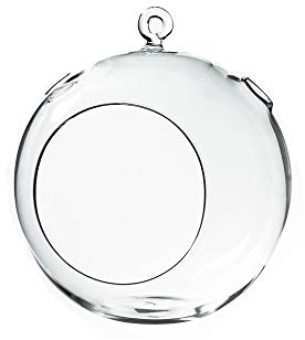 WGV Bougeoir à Suspendre Rond Transparent/Verre Orb Terrarium Vase, 17,8 cm par 20,3 cm