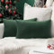 MIULEE 2er Set SAMT Weihnachten Kissenbezug Kissenhülle Dekorative Dekokissen Sofakissen Lendenkissen Wurfkissenbezug mit Verstecktem Reißverschluss Sofa Schlafzimmer 12x20 Inch 30x50 cm Dunkelgrün