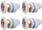Qikuver Ruedas para Puerta de Ducha, 4 Piezas Rodillo de Repuesto para Puerta de Vidrio para Baño, Barra de Cobre, para Puerta Corredera De Cristal Baño (25MM)