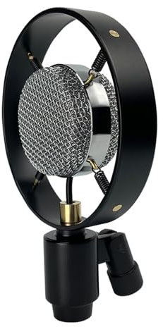 BFLKY Microfono Professionale a Condensatore Vintage Recorder Studio per Live Radio Boardcasting Canto