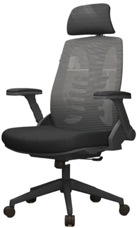 FAJNUZI2024 Bürostuhl Ergonomisch Ergonomischer Stuhl mit Lordosenstütze, Bürostuhl, bequemer, drehbarer Computerstuhl for das Arbeitszimmer zu Hause, Schreibtischstuhl Arbeitsstuhl(Schwarz)