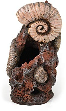 biOrb Muschelbaumstumpf Ornament - Aquarium-Deko in Form eines Baum-Stumpfs, Zubehör fürs Aquarium-Becken, in Braun/Holz-Optik