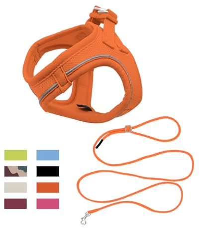 Qianruida Hundegeschirr, Step-in Geschirr für Hunde mit Leine, Geschirr und Leinen für Katzen, atmungsaktiv, leicht zu kontrollieren, mit reflektierenden Streifen (Orange XXS)