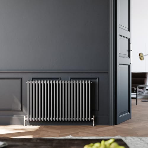 ZANOFIRA Anthracite Traditional Radiator Cast Iron Style Double Column Colosseum Horizontal Grey Designer Radiator Central Heating Panel Rad for Bathroom, Living Room and Kitchen, 600x1010mm
