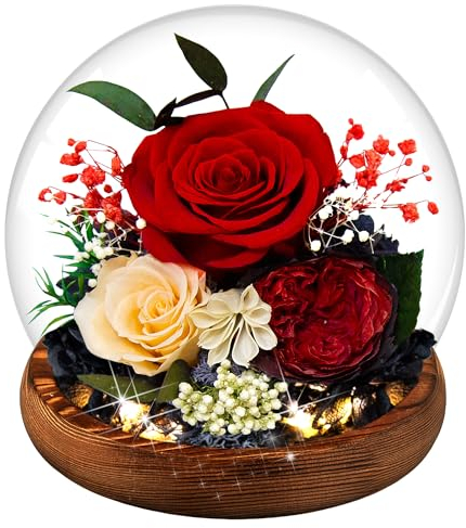 LUYITOM Ewige Rose im Glas, Ewige Rose Geschenke mit LED-Licht, Konservierte Echte Rosen Blume Infinity Rose Geburtstagsgeschenk für Frauen Valentinstag Jahrestag Muttertagsgeschenk für Mama (Rot)