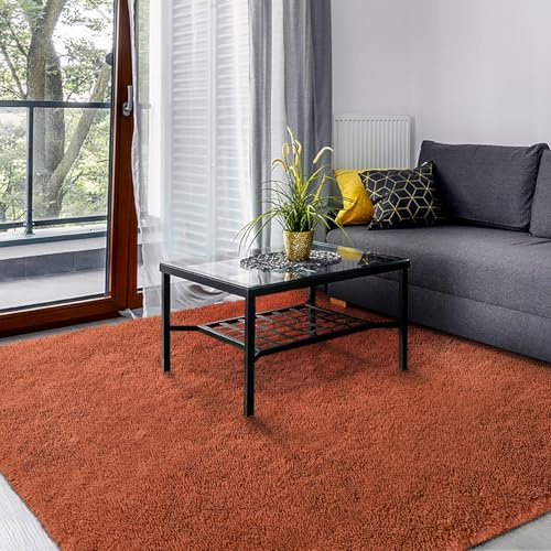 SOANNY Rugs Living Room, Soft Fluffy Shaggy Carpet Orange, 160x230cm | Machine Washable, Non Slip, Area Mat, Bedroom Dorm Office Lounge Playroom Nursery Bedside Sofa Kids Room Home Decor Entryway