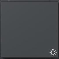 Gira 328567 Wippe mit Symbol Licht, TX_44, Anthrazit
