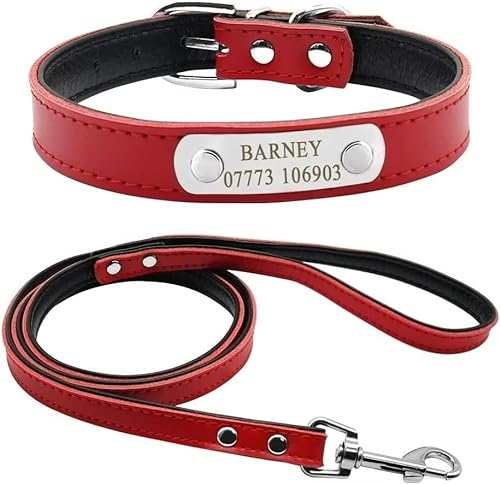 Didog - Collar y correa de piel suave acolchada para perro con placa de nombre personalizada, para perros pequeños y medianos