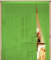 Kaikoon Fadenvorhang Vorhang Fadenstore Fadengardine Messe 90 cm x 240cm hellgrün Neu