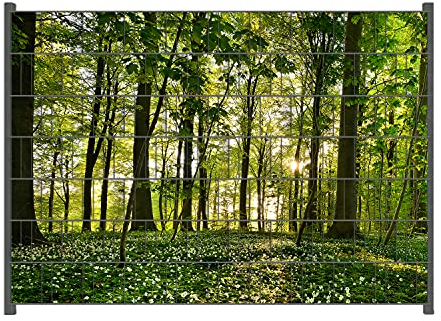 Wallario Zaun Sichtschutz Windschutz für EIN- und Doppelstabmattenzäune in der Größe Breite 2,00m x Höhe 1,40m, Motiv: Waldanemonen und Sonnenstrahlen im Wald