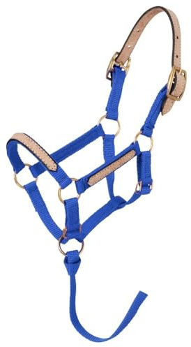 Tough1 Miniature Nylon Breakaway Halter - Royal Blue - Medium