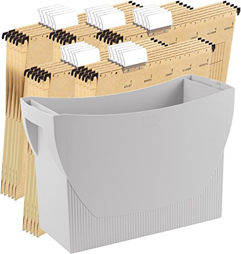 HAN Hängemappenbox SWING, Das mobile Büro. Innovatives Design für 20 Hängemappen, integrierter Köcher (Lichtgrau + 25 Mappen)