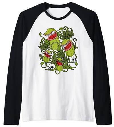 Plantes carnivores Sarracenia Northern Pitcher Plant Manche Raglan