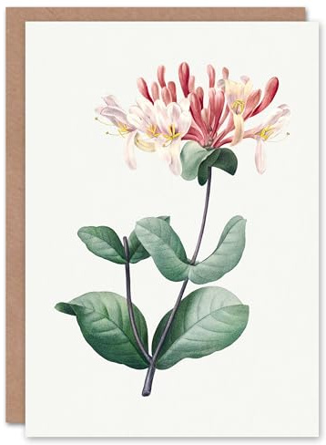 Artery8 Pierre-Joseph Redouté Personalised Art Card Honeysuckle Vintage Botanical Illustration