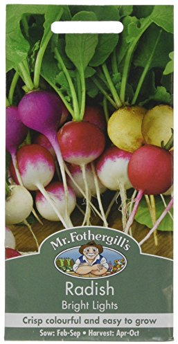 Mr Fothergill's Radish Bright Lights