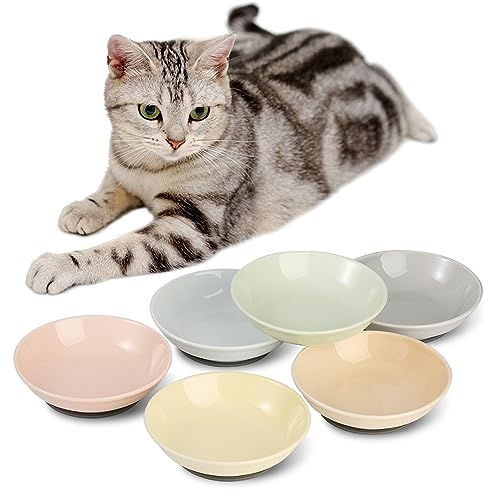 Katzen Futternapf Fressnapf Katze Keramik - Katzennapf Set mit Antirutsch Matte - Bunte Katzennäpfe - Katzenfutter Napf - Katzenschüssel Flach - Futterschale Katze - Katzen Napfset - 6 Stück - 250 ml