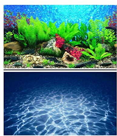 Hidom Aquarium Background Poster Double Sided - Height 31 / 80cm - Length 4 FT / 122cm - Two Scenic Pictures displaying Aquatic Backdrops - DS 800-9019/9063