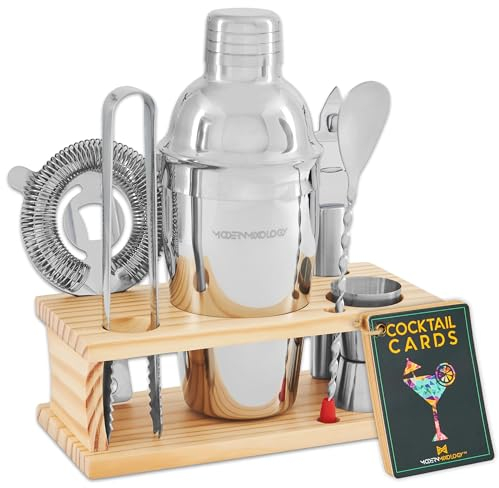 Mixology - Juego de coctelera de 8 piezas con soporte de madera, tarjetas de recetas e ideas de accesorios de bar (plateado)