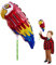 Ballooniacs - Papagei luftgefüllt Tierballon von Deluxebase. Eine farbenfrohe und wiederverwendbare aufblasbare Geburtstagsfeier Dekoration für Kinder