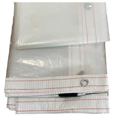 Zoegneer Transparente Poly-Plane für Garten- und Dachabdeckung, hitzeversiegelte Nähte, UV-beständig (100 x 300 cm)