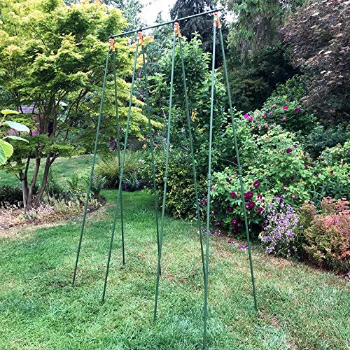GardenSkill Garden Runner Bean Frame Kit - Complete Support Trellis for Growing Climbing Beans, Plants, Vegetables and Flowers