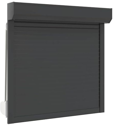 vidaXL Rollladen Gute Wärme- und Schalldämmung Rollladenpanzer Behang Rolladen Rolladenbehang Vorbaurollladen Vorbaurolladen Aluminium 100x100cm Anthrazit