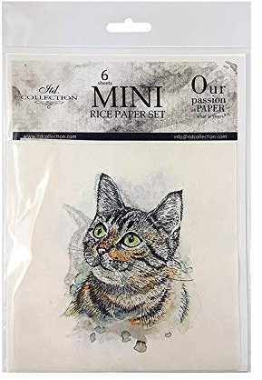 ITD Collection - Mini Reispapier Kreatives Set 14,8 x 14,8 cm (6 Blätter), Decoupage Reispapiere für Basteln, Papier zum Dekoration, Mehrfarbig (RSM006)