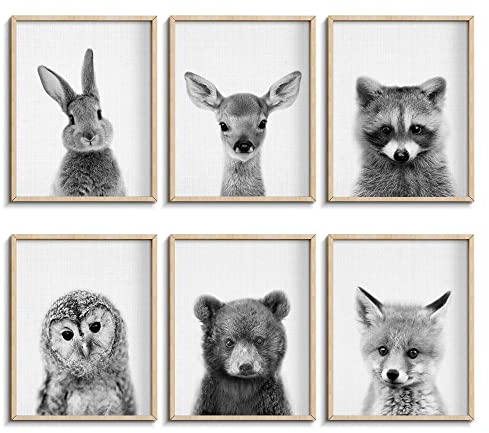 EPHANY Schwarz-Weiß-Wandkunst, Baby-Tier-Poster und Drucke, Safari-Hasen-Drucke, Kinderzimmer-Bär, Wandkunst, Eulen-Druck, Wandkunst, nordisches Bild, Kinderzimmer-Dekoration (YMX017, 20 x 25 cm))