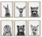 EPHANY Schwarz-Weiß-Wandkunst, Baby-Tier-Poster und Drucke, Safari-Hasen-Drucke, Kinderzimmer-Bär, Wandkunst, Eulen-Druck, Wandkunst, nordisches Bild, Kinderzimmer-Dekoration (YMX017, 20 x 25 cm))