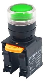 Interruttore 1NO/1NC Testa Piatta con Pulsante Luminoso Interruttore Spia 24V 220V Auto-reset 22mm Interruttore a Pulsante(Green,220V)