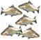 5 Stück Fisch Folienballon,XXL niedliche Fisch Förmige Party Ballon Aluminiumfolie,Kindergeburtstag Ballon Dekoration für Jungen Mädchen Baby Dusche Party Fischen Geburtstags Party