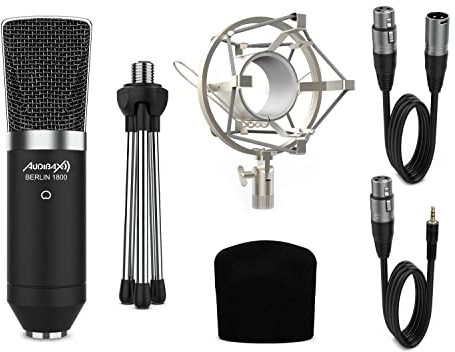 Audibax Berlin 1800 Silver - Microfono a Condensatore da Studio - Risposta in Frequenza 20 Hz/20 KHz - Microfono Professionale con Schema Polare Cardioide - Diaframma Largo - Colore Argento