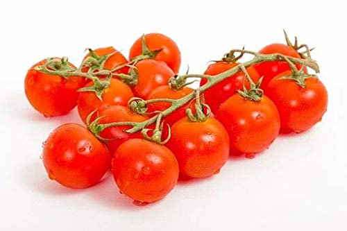 Graines Tomate cerise apéritif pour cocktail - sachet d'environ 300 graines - Entreprise Française - Graines de style