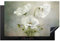 KitchenYeah© Herdabdeckplatte Einteilig Küche Ceranfeld Abdeckplatte Cerankochfeld Abdeckung Induktionskochfeld Schutzmatte Blumen - Mohn - Weiß - Botanik - Moderne - 81.6x52.7 cm